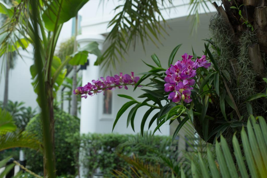 Marvel Holiday Boutique Villa Siem Reap Luaran gambar